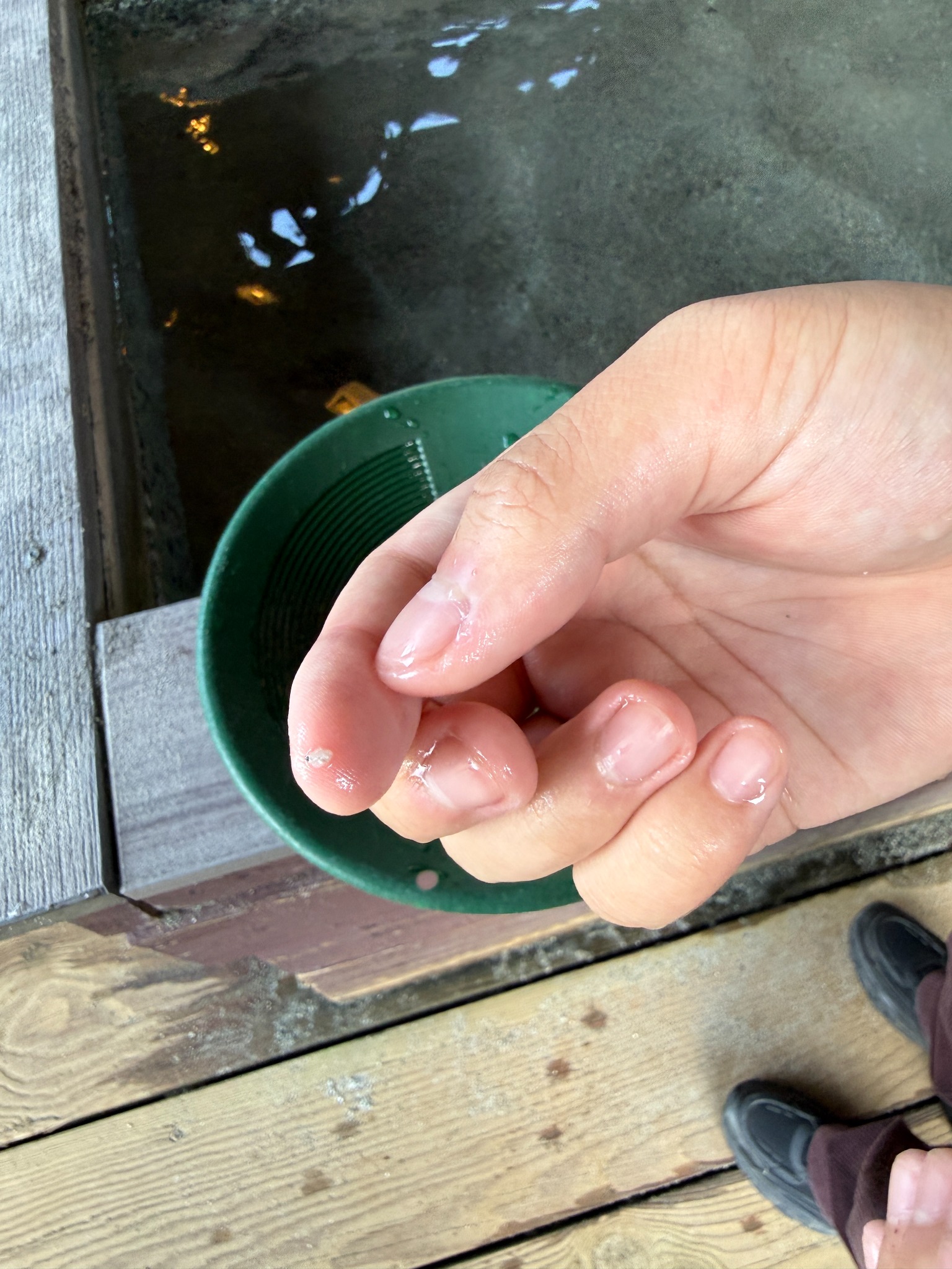 A closer look at a student’s discovery after panning.
